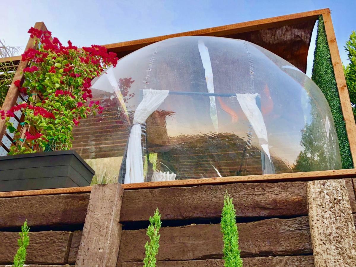 Campo de lujo Sky Bubble *